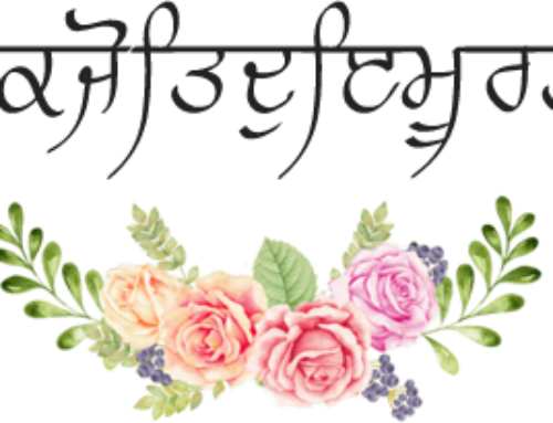 Welcome to Singh & Kaur introductions